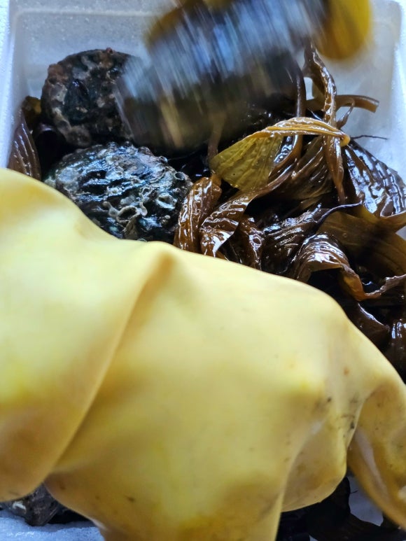 도토리반찬 이미지