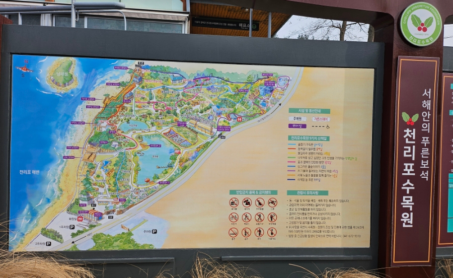 해바라기레스토랑 이미지