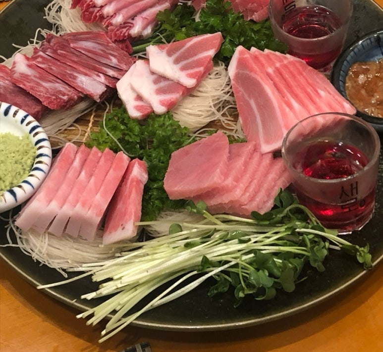 도참치 이미지