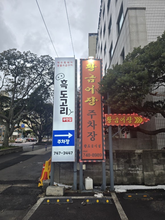 흑도고리 이미지