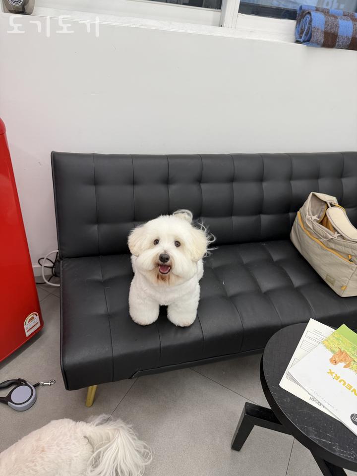 피자마루화곡남부 이미지