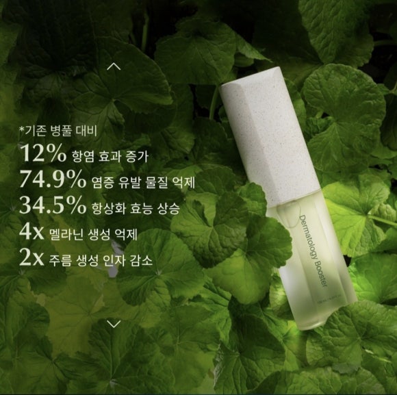 인셀덤 코코 이미지