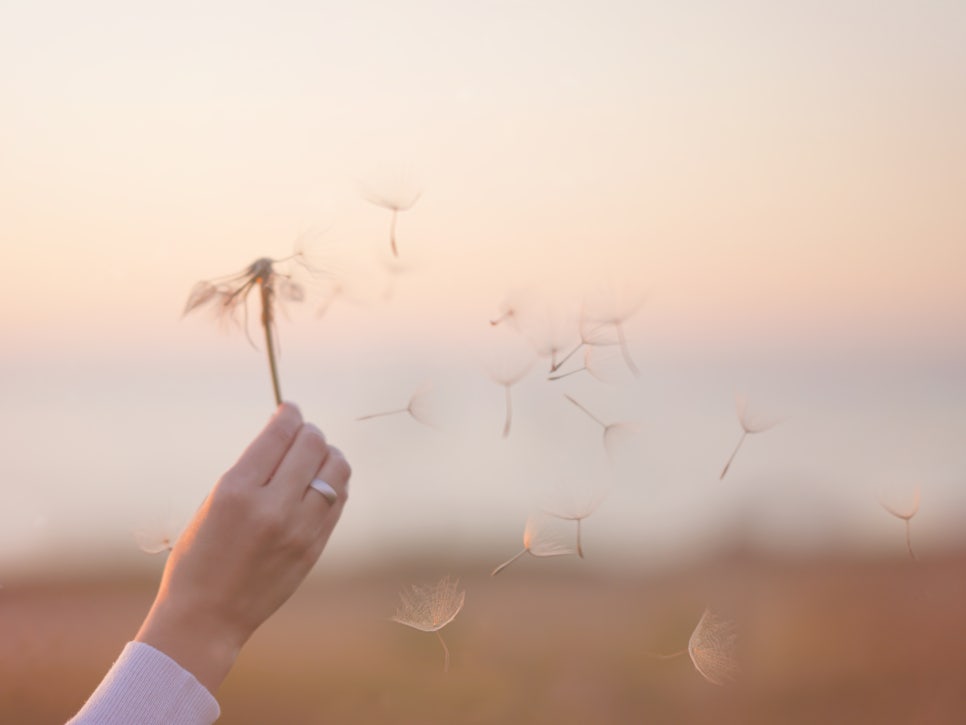 산들디자인 이미지
