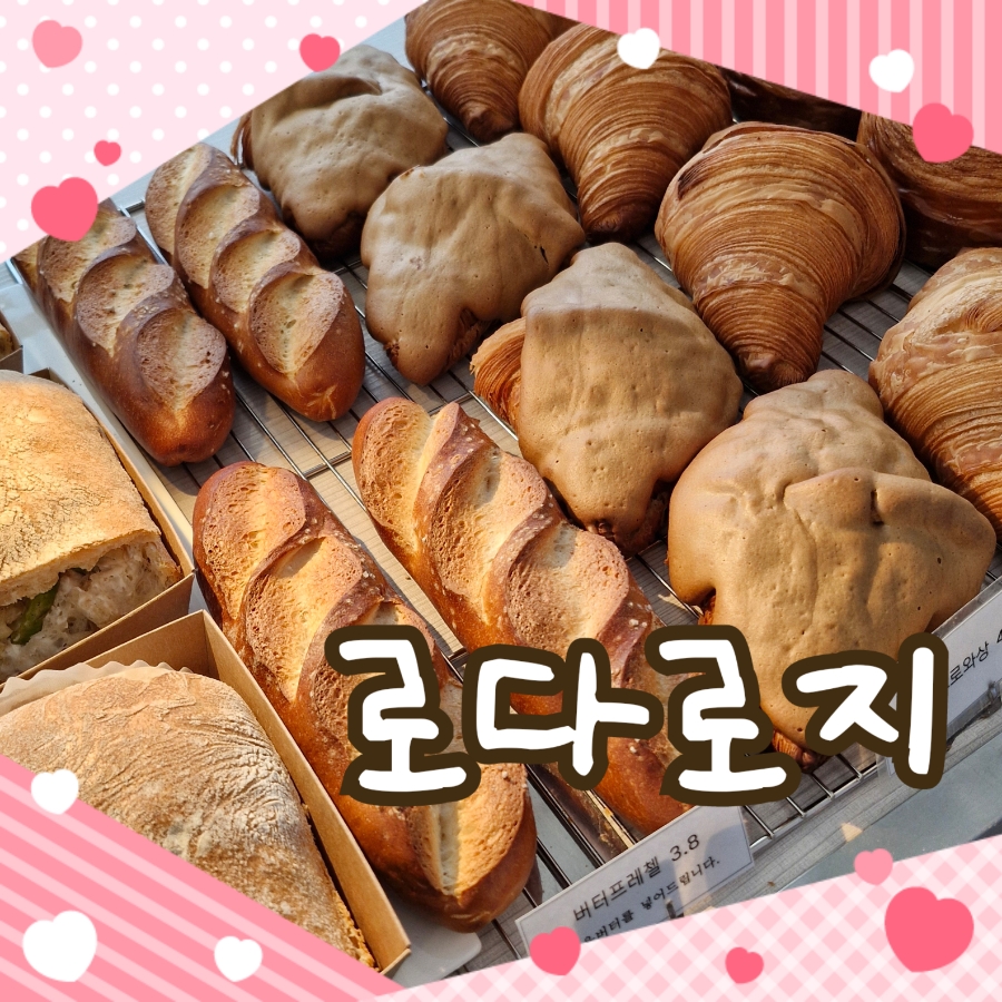 로다로지 이미지