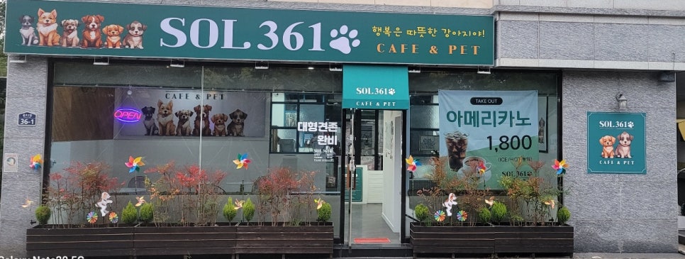 솔카페 이미지
