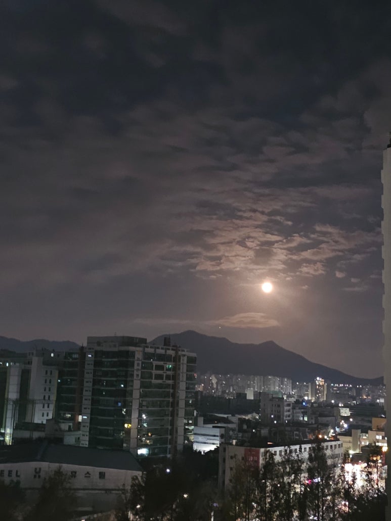 코코네청소 이미지