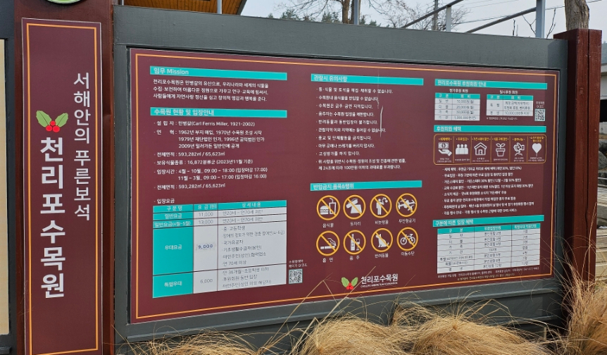 해바라기레스토랑 이미지