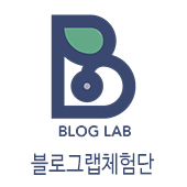 아언헤어 이미지
