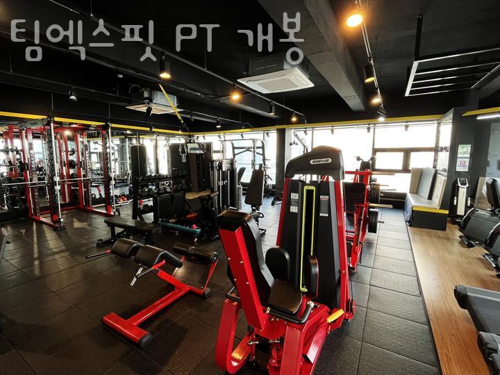 팀엑스핏 개봉 이미지