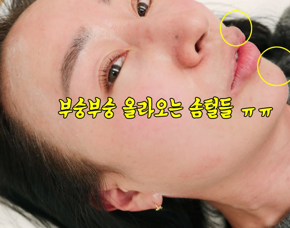 도로시헤어라인 이미지