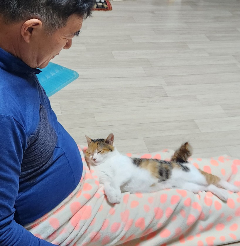 광주 고양이 암컷 중성화 수술 후기 및 비용 안내 — 사진 2
