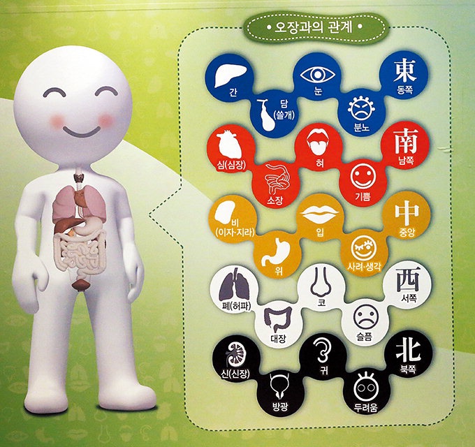 비에스테라피 이미지