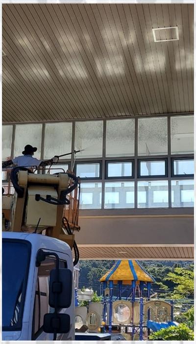 그린엔젤 이미지