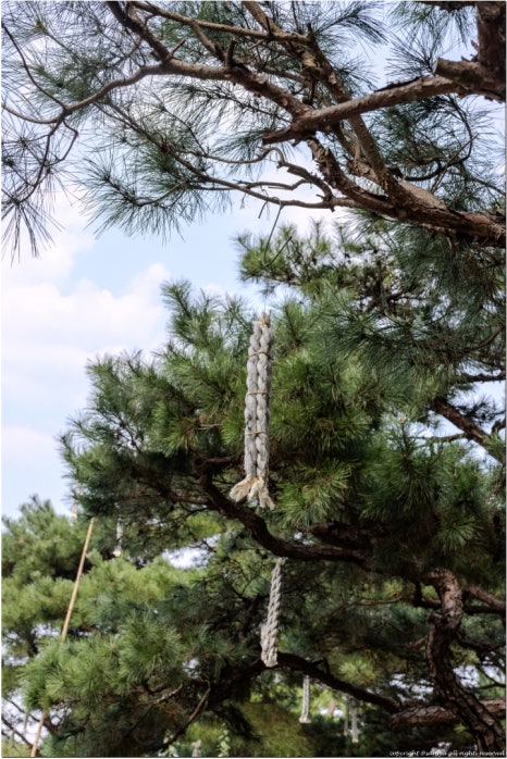 정월농수산 이미지