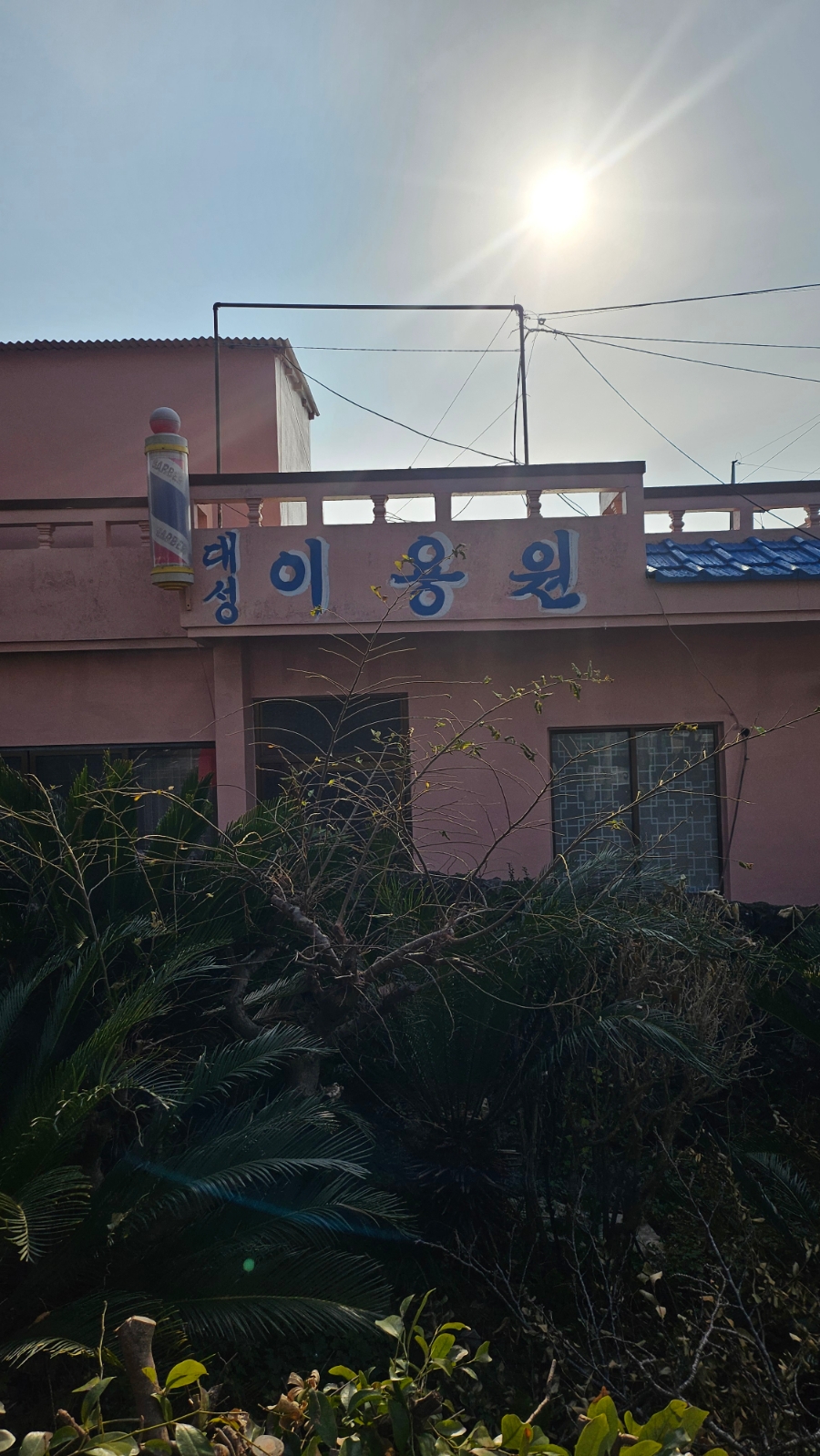 대성이용원 이미지