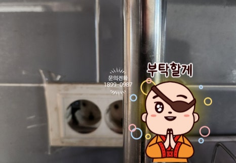 백송전기 이미지
