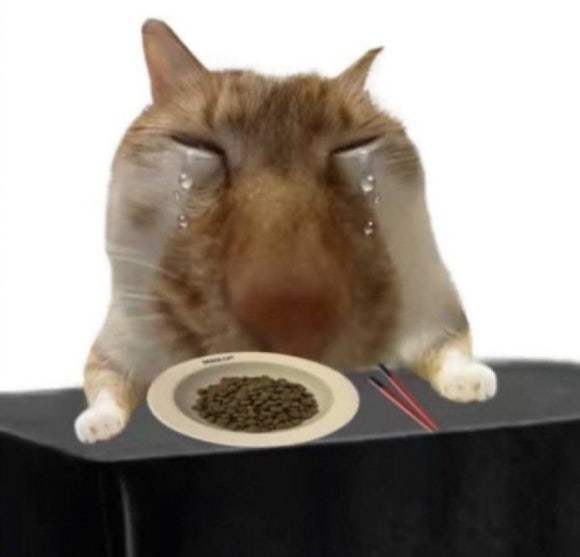 엔비몬스터 이미지