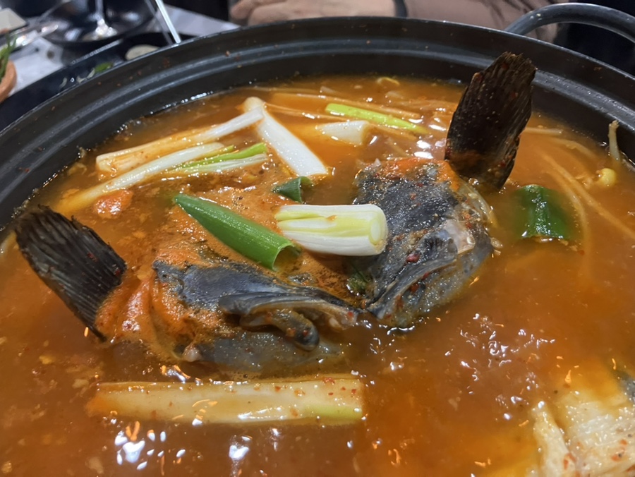 진도막회 이미지