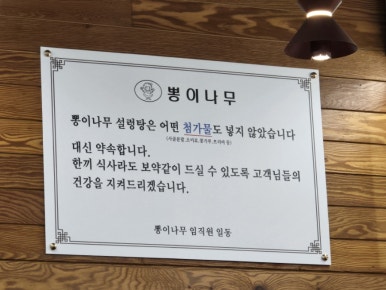 뽕이나무 이미지