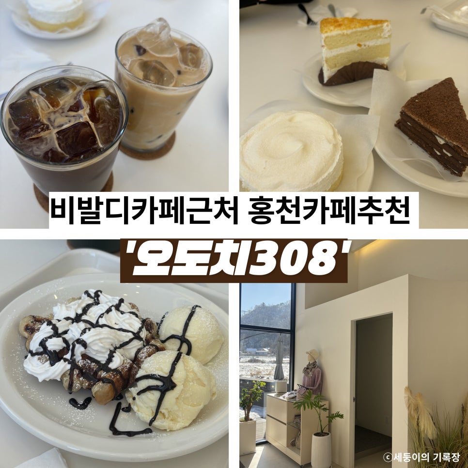 오도치308 이미지