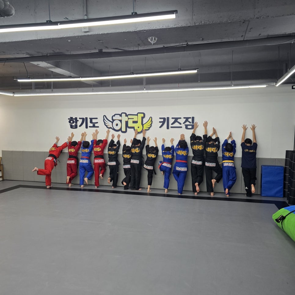 합기도.하랑.키즈짐 이미지
