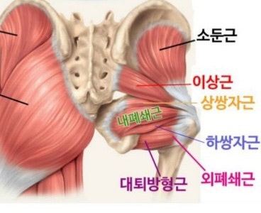 머슬96짐 이미지