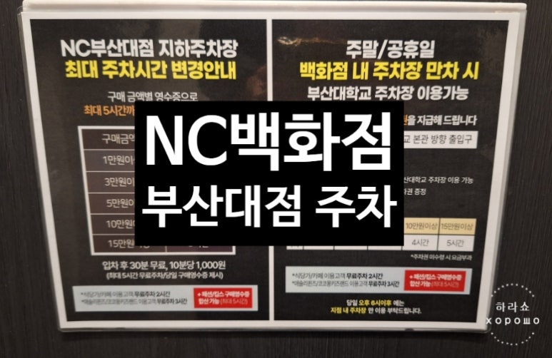 NC대학로 이미지