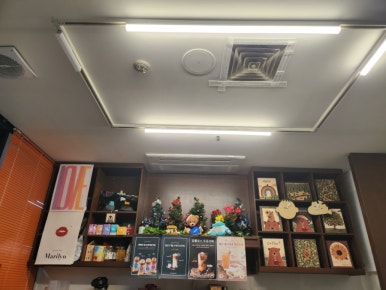 카페 오렌지 어웨이크 이미지