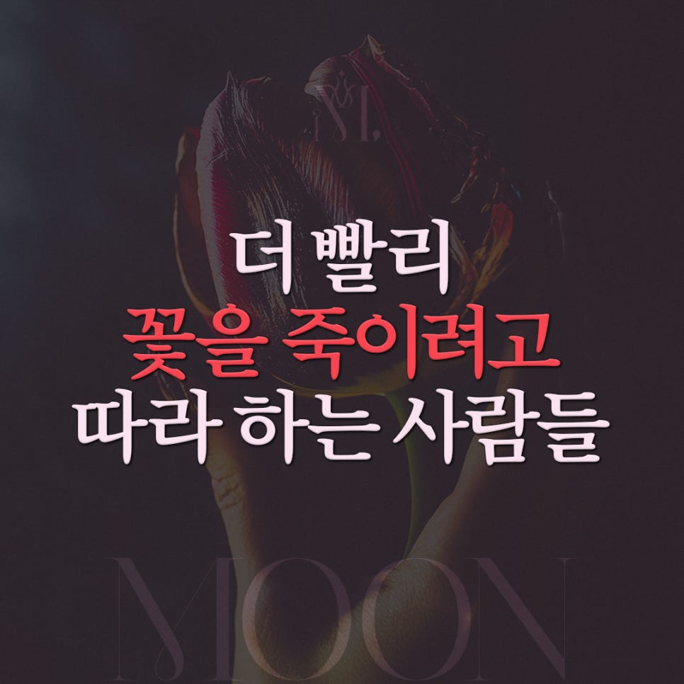 꽃을만드는사람들 이미지