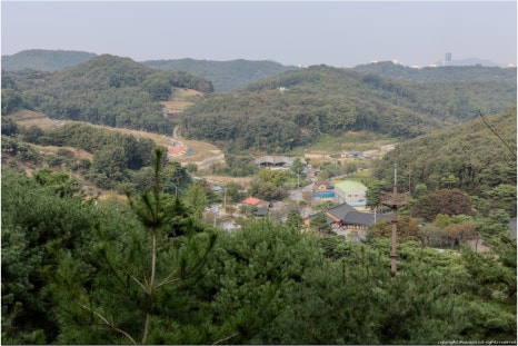 정월농수산 이미지