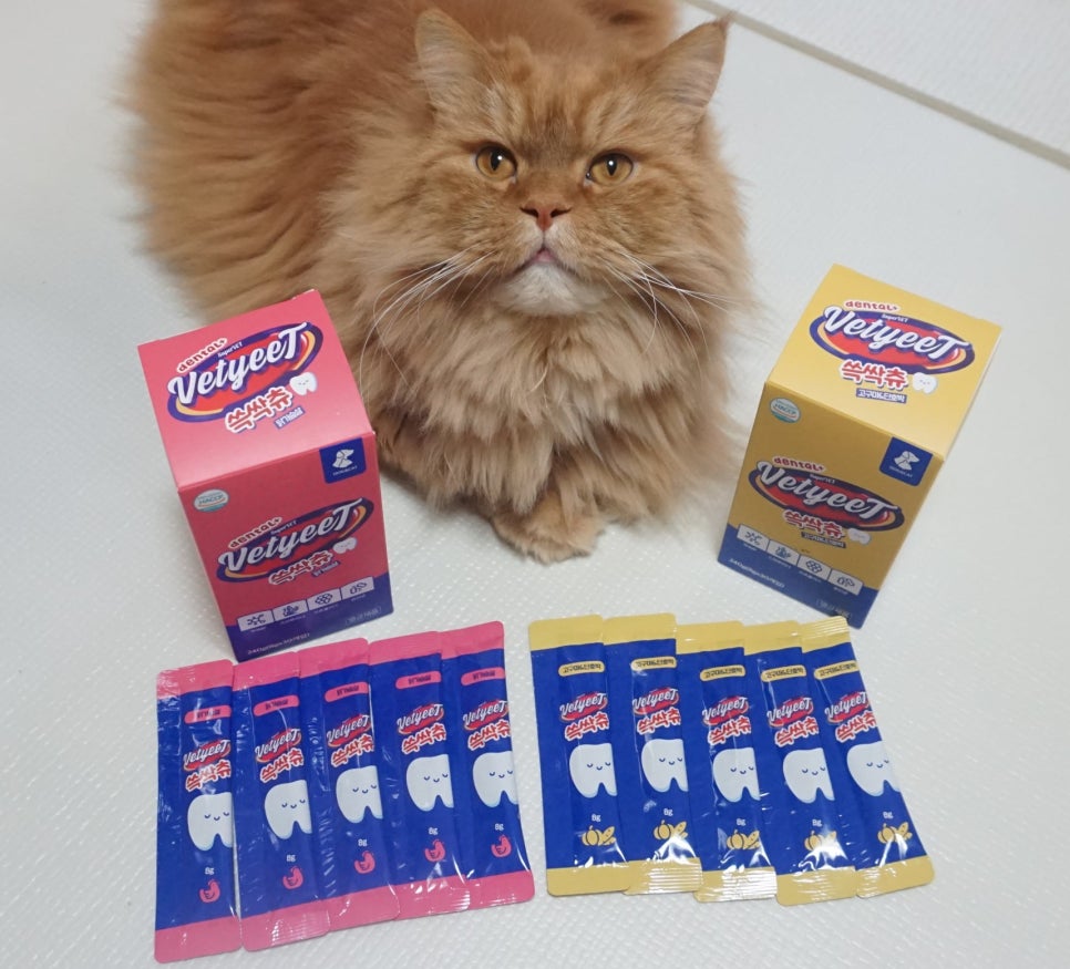 쓱싹 이미지