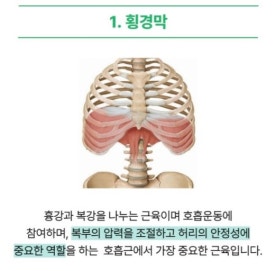 인리치짐 이미지