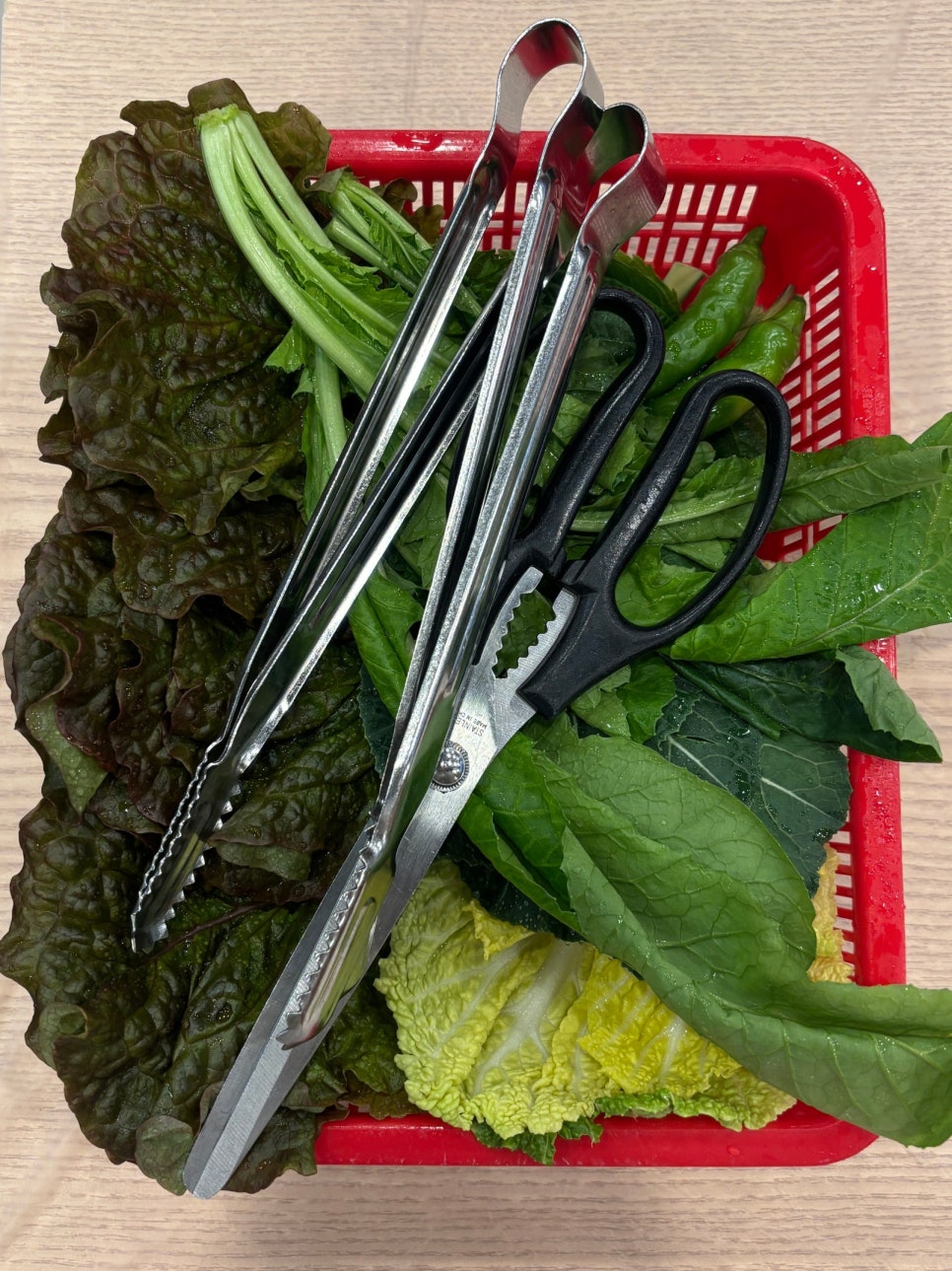 동천대패 이미지