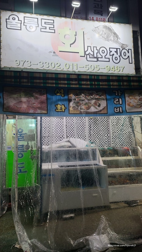 울릉도회산오징어 이미지