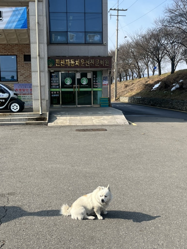 서울만남의광장휴게소 토스타토스트 이미지