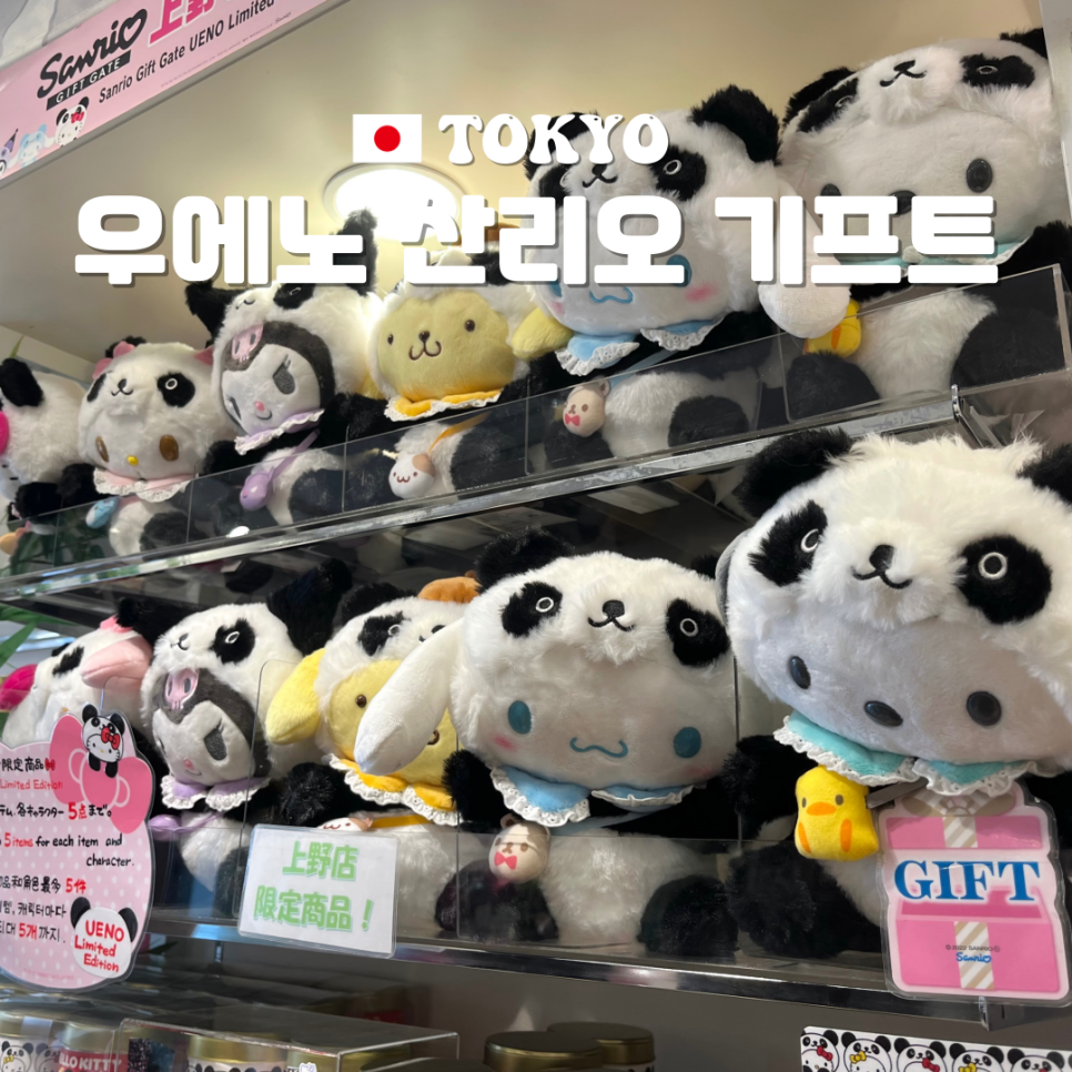 판다기프트 이미지