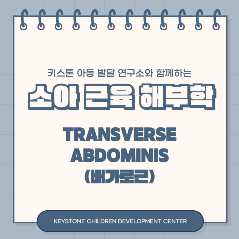 키스톤아동발달연구소 이미지