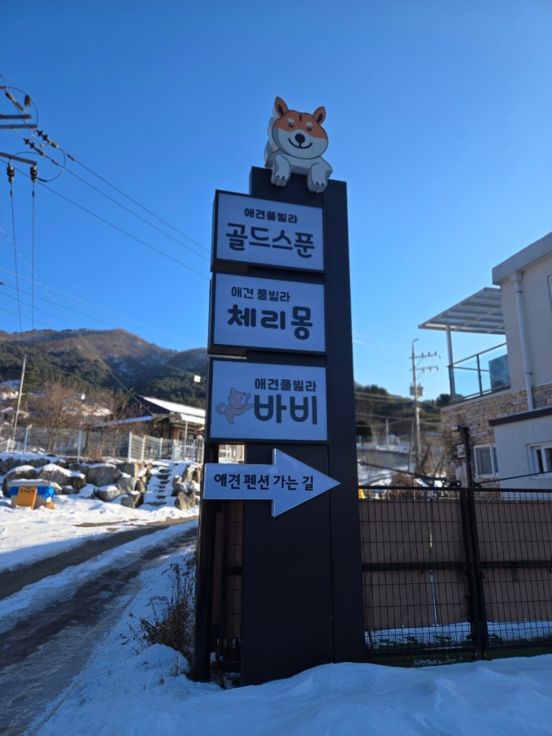 바비애견풀빌라 이미지
