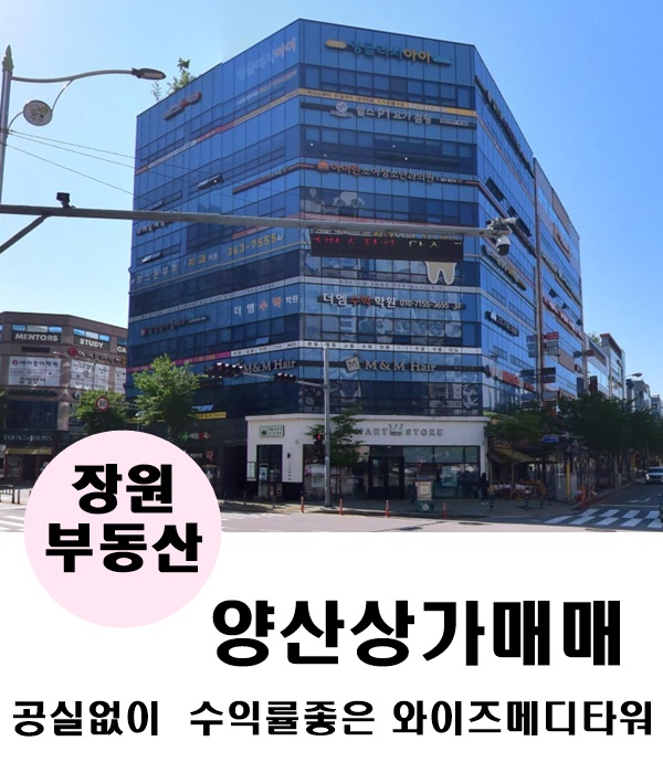 메디와이즈 이미지