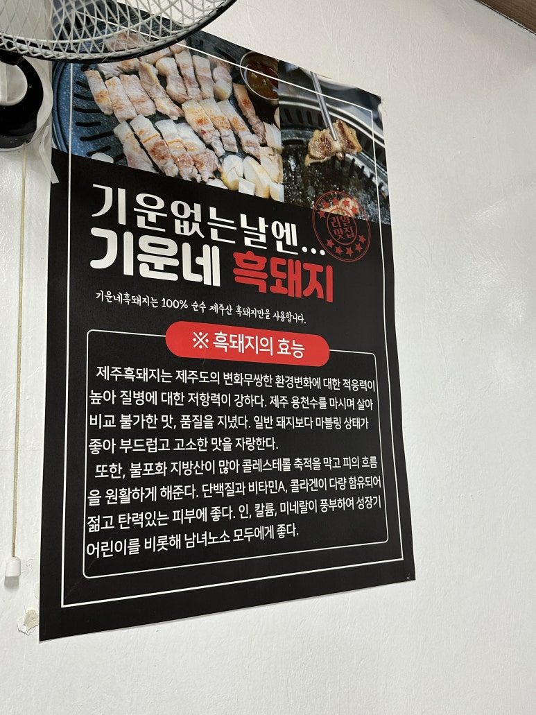 기운네흑돼지 이미지