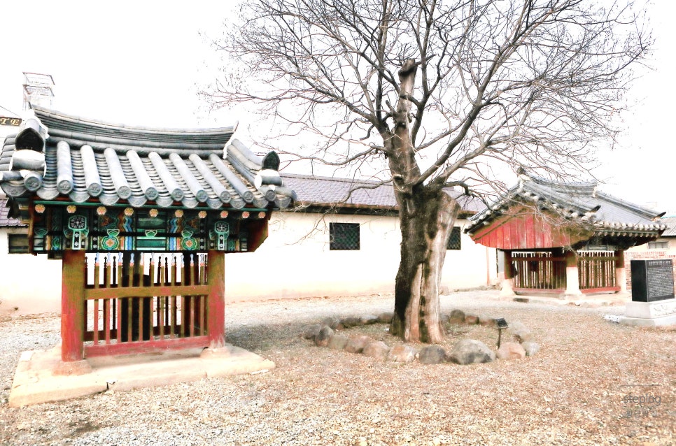 목화장모텔 이미지