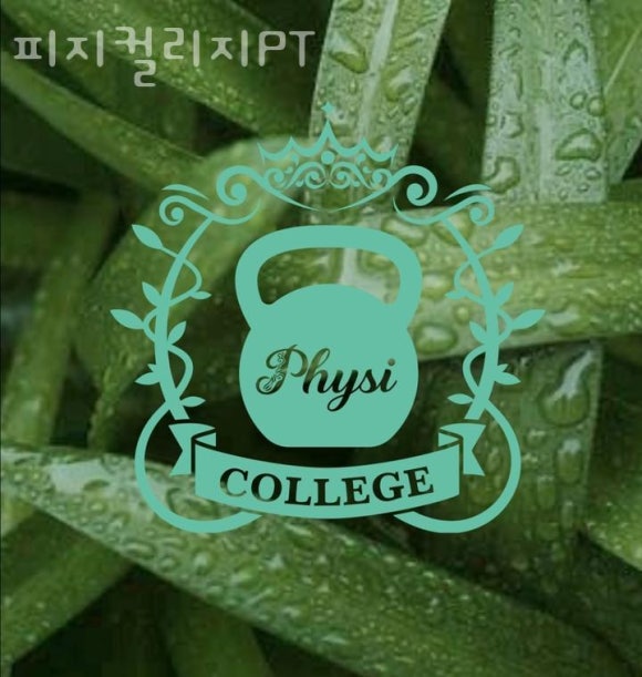 골목PT 이미지