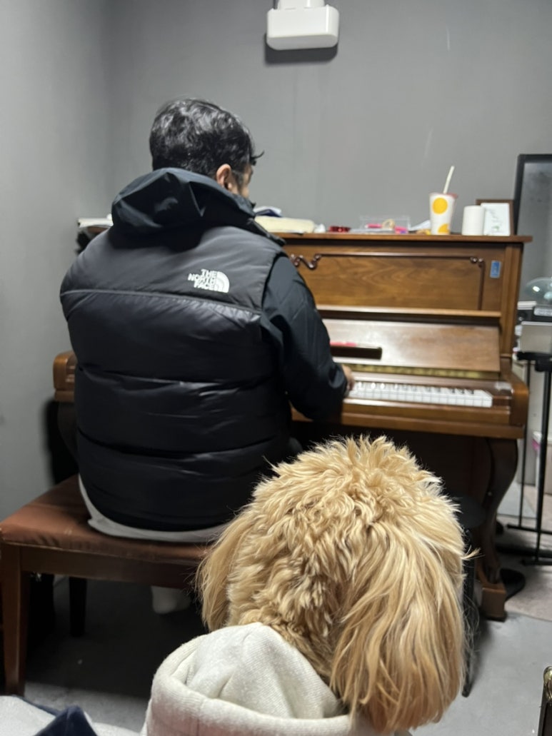 알롱실용음악학원 이미지