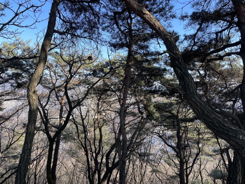 환영당 이미지