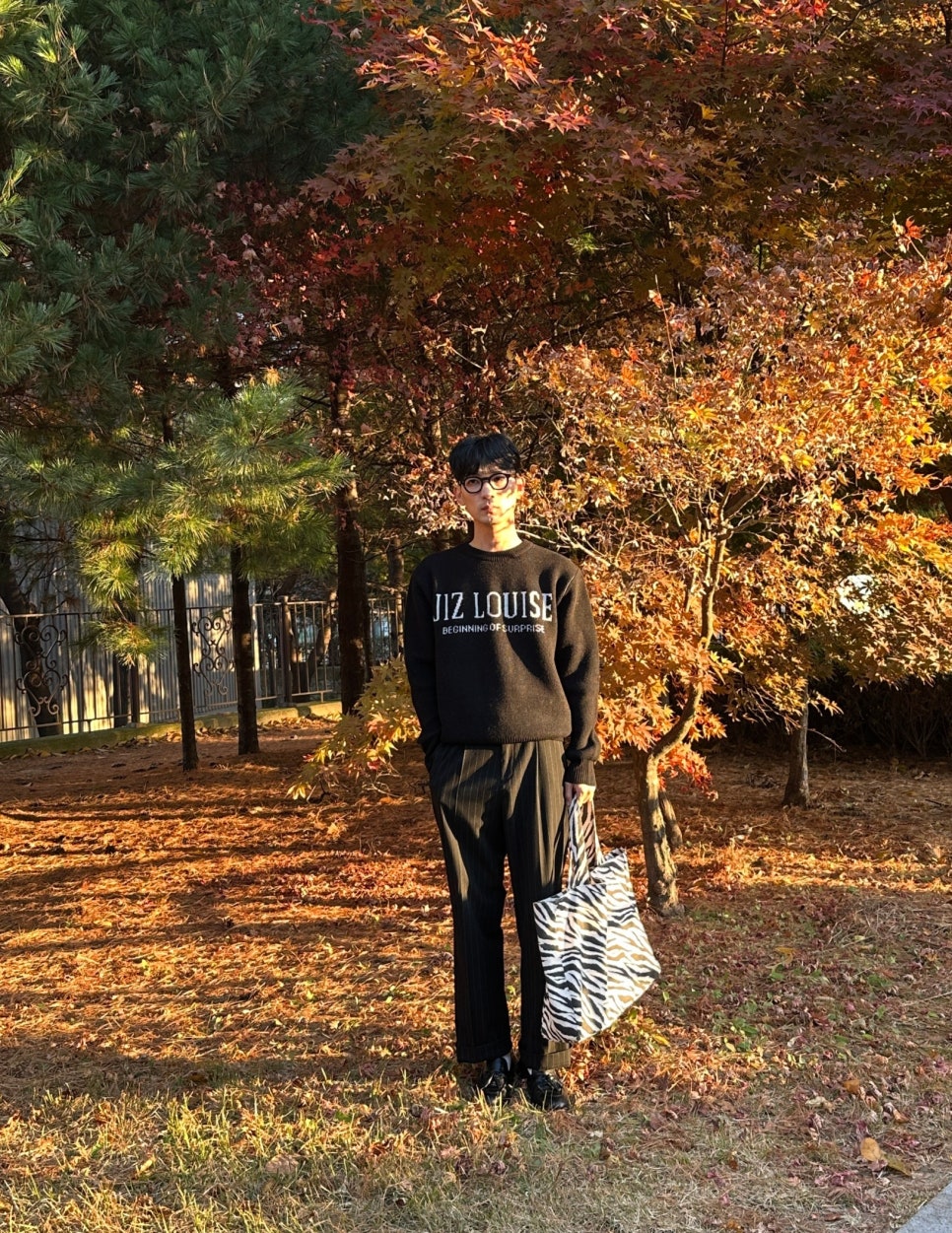 지즈루이스 이미지