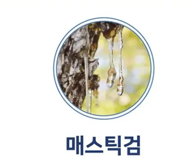 뉴세월따라 이미지