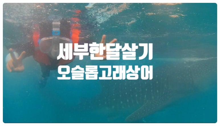 아론투어 이미지