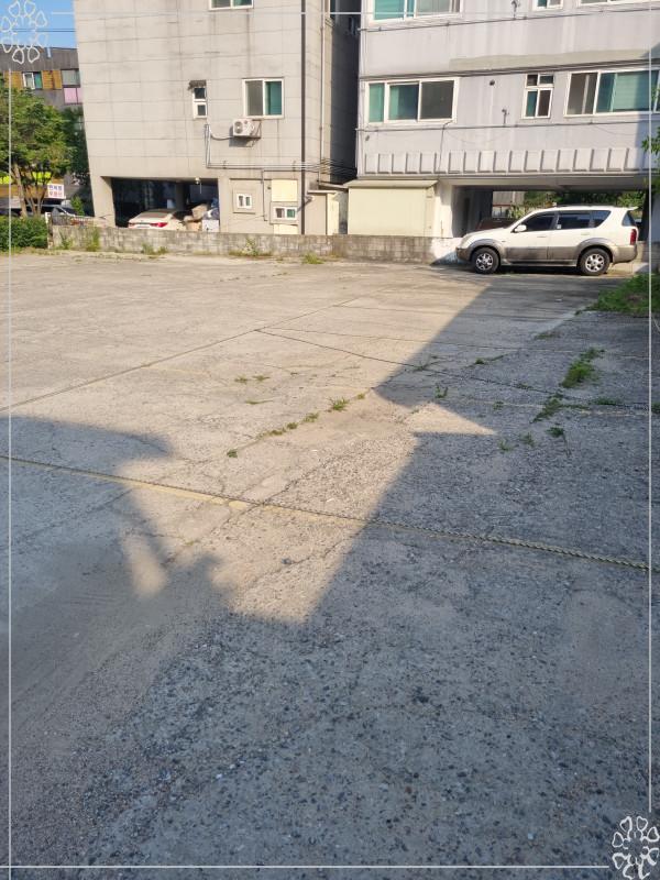 수지국수집 이미지