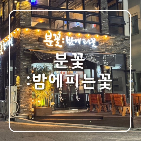분꽃 : 밤에피는꽃 이미지