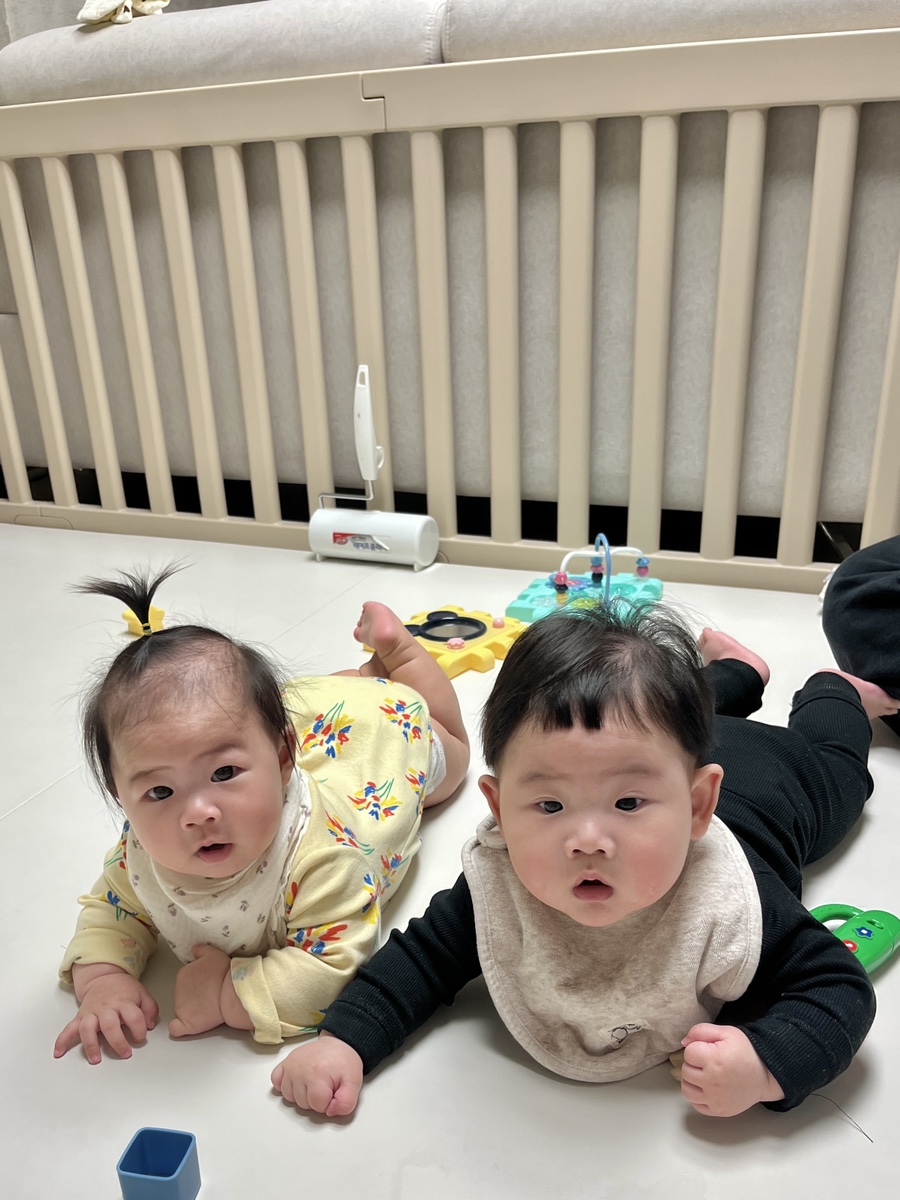 더마이치킨 이미지